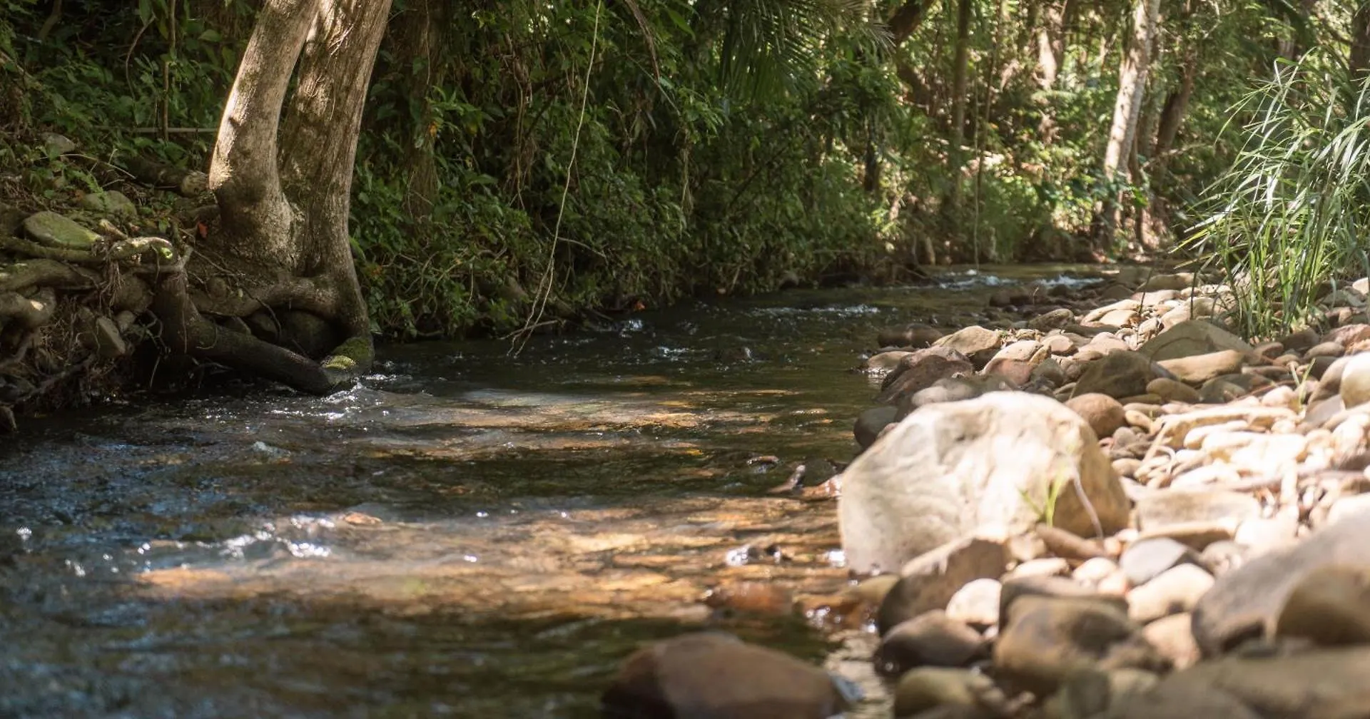 Bed & Breakfast Private Sauna And Spa Deep In Currumbin Valley Australien