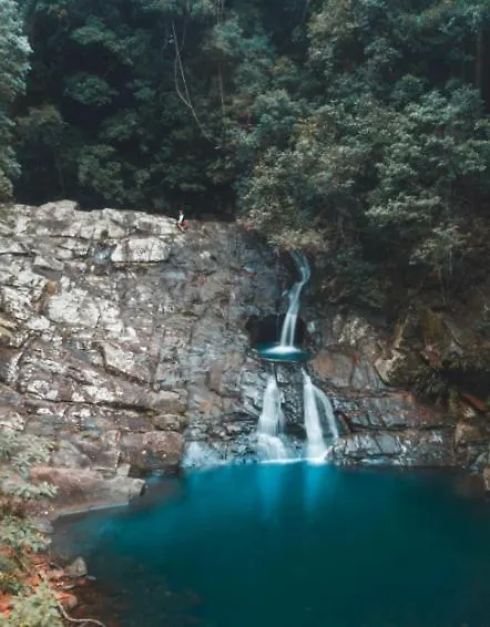 Private Sauna And Spa Deep In Currumbin Valley Bed & Breakfast